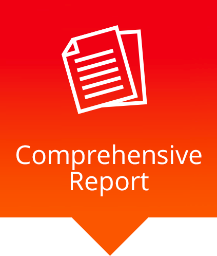 Comprehensive report paper icon