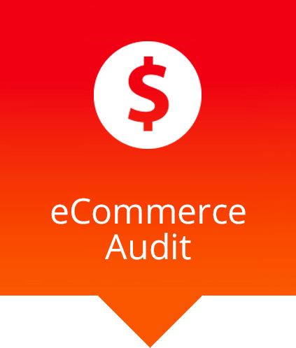 ecommerce audit with dollar sign icon