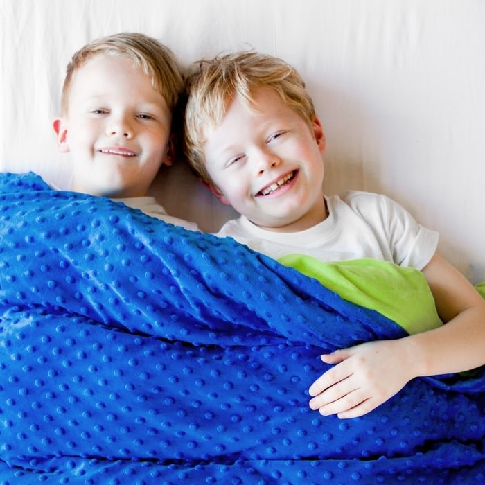 Harkla 5 Pound Weighted Blanket , Blue | SoClean Marketplace