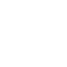 Branding lightning bolt icon