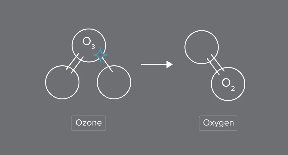 Ozone converted back to oxygen