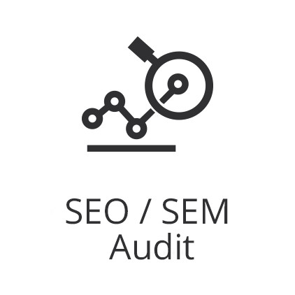 Graph with magnifying glass and text that says SEO SEM audit