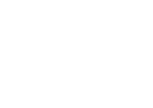 cefaly logo