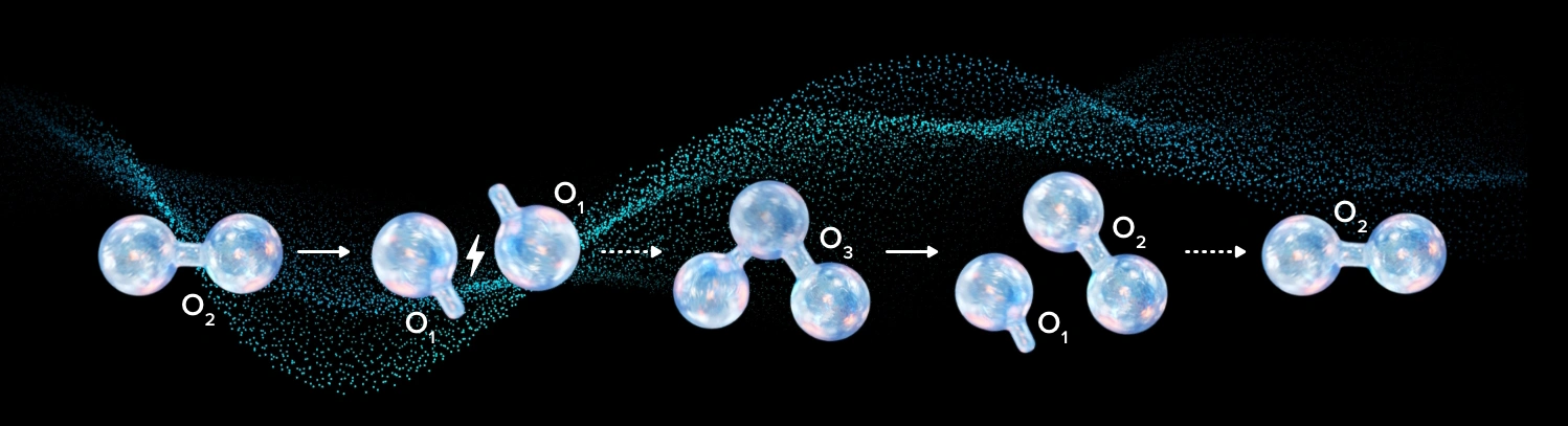Ozone molecules convert to oxygen.