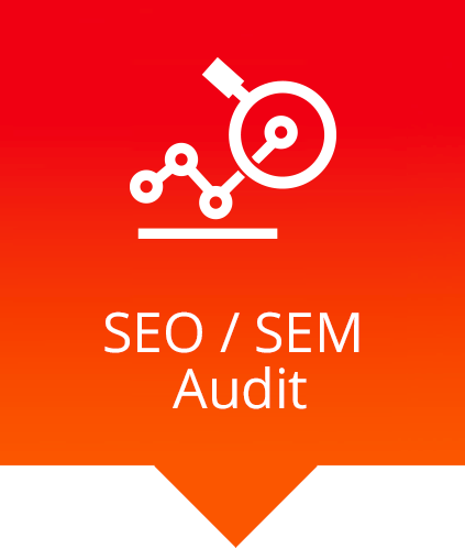 seo sem audit magnifying chart icon