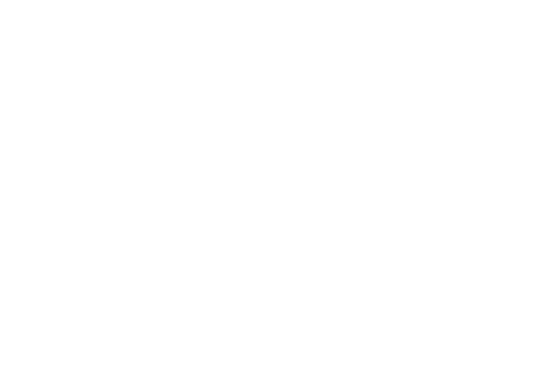 nuttin ordinary logo