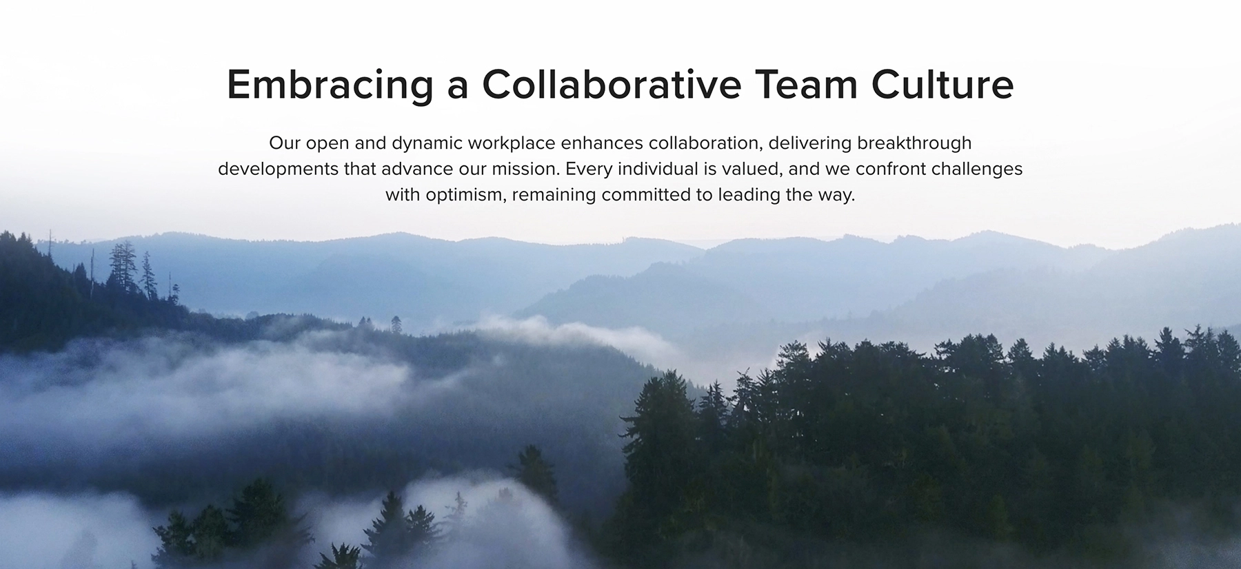 Embracing a Collaborative Team Culture