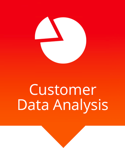 customer data analysis chart icon