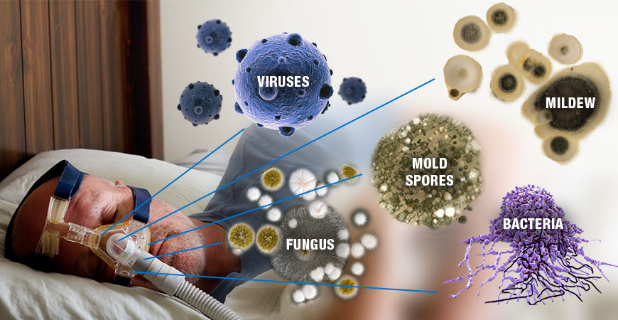 soclean-_-bacteria-graphic