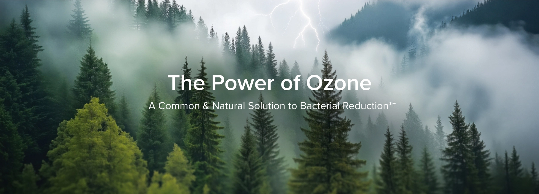 Ozone is a common and natural solution to bacterial reduction.