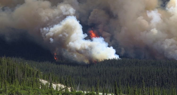 Article Image: wildfires-and-air-quality