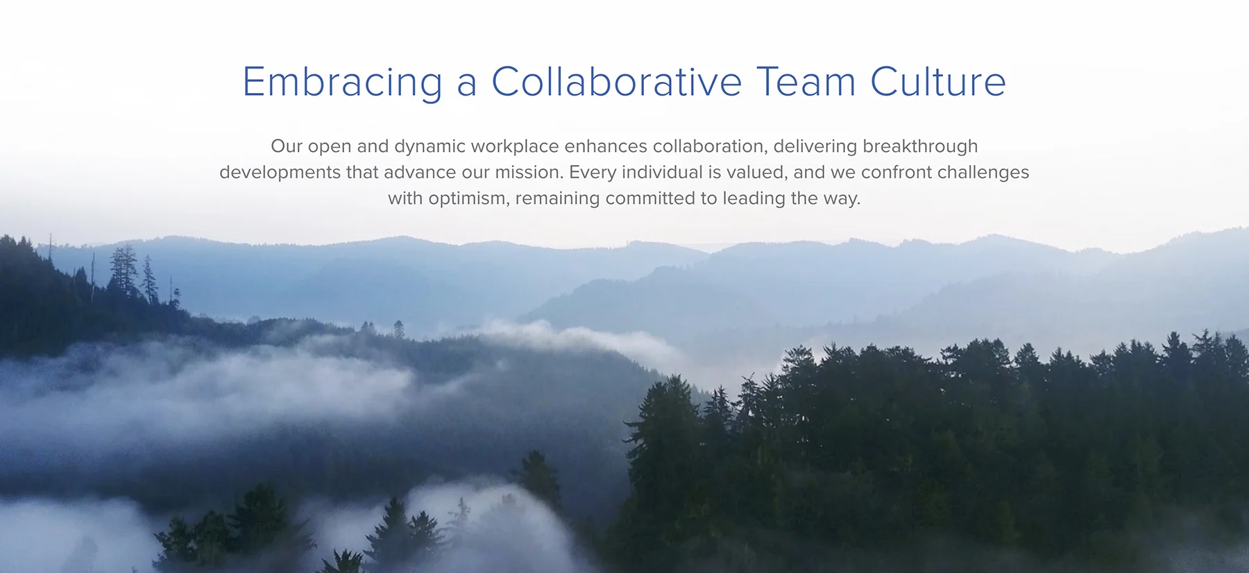 Embracing a Collaborative Team Culture
