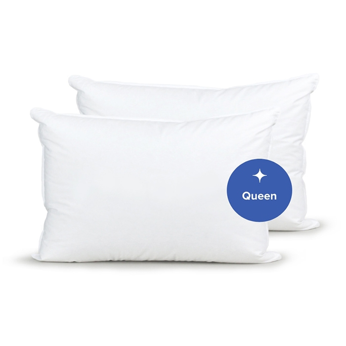 Down Etc Aquaplush® Pillow Bundle - Queen